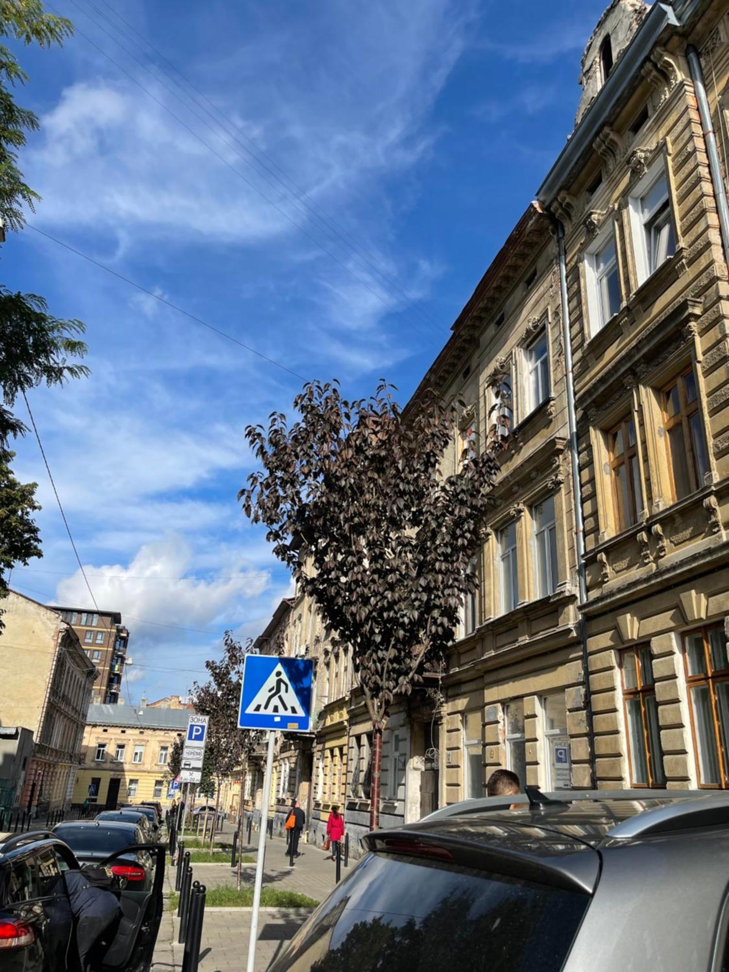 Vintage Apartment Kotlyarska10 Lviv Exterior foto